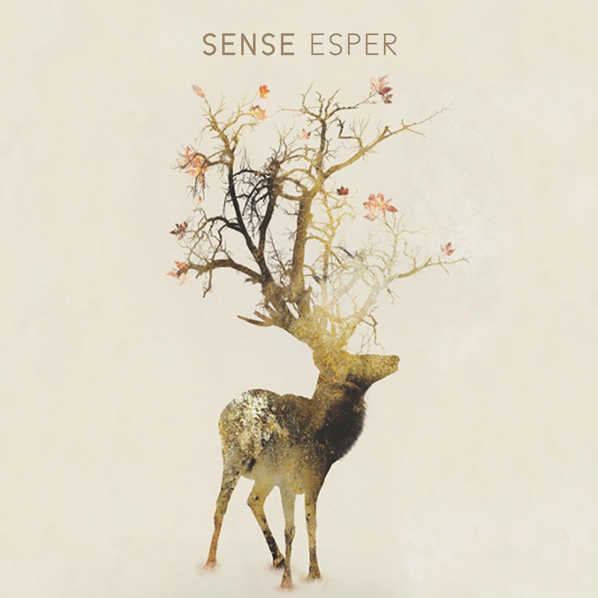 Sense - Cascade (feat. Philippe Becker & Agathe)