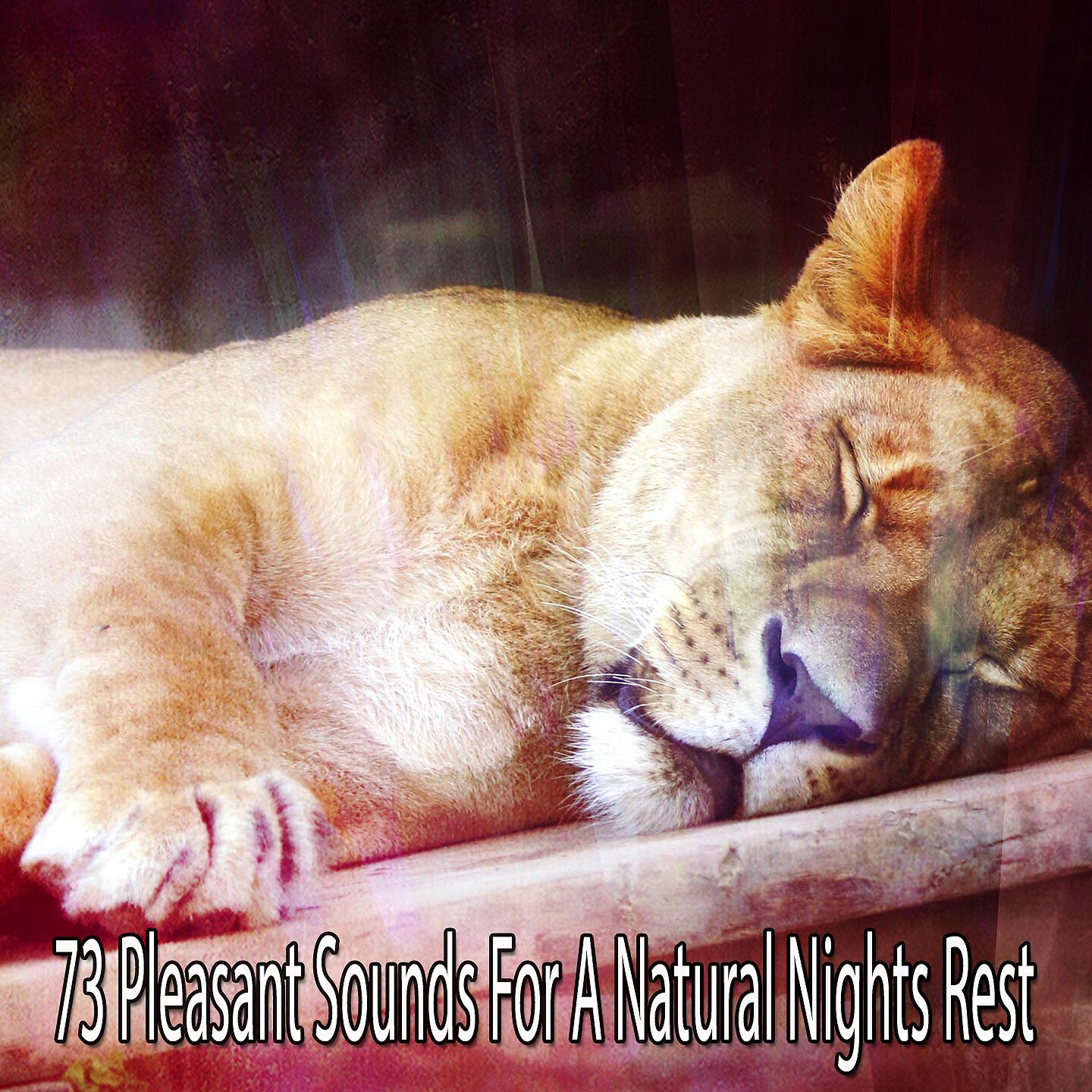 Sleep Baby Sleep - Chiming Rain Drops