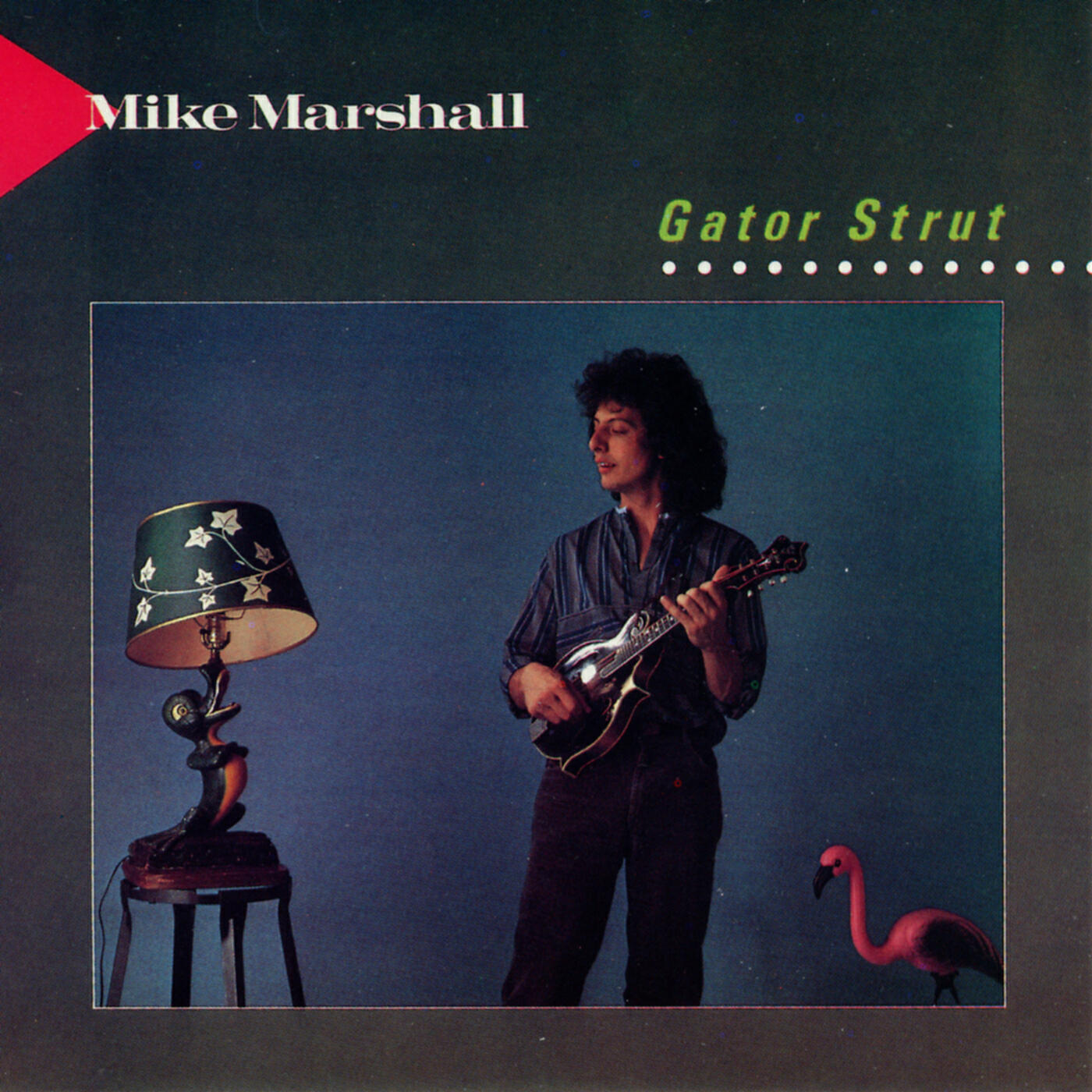 Mike Marshall - Ybor City