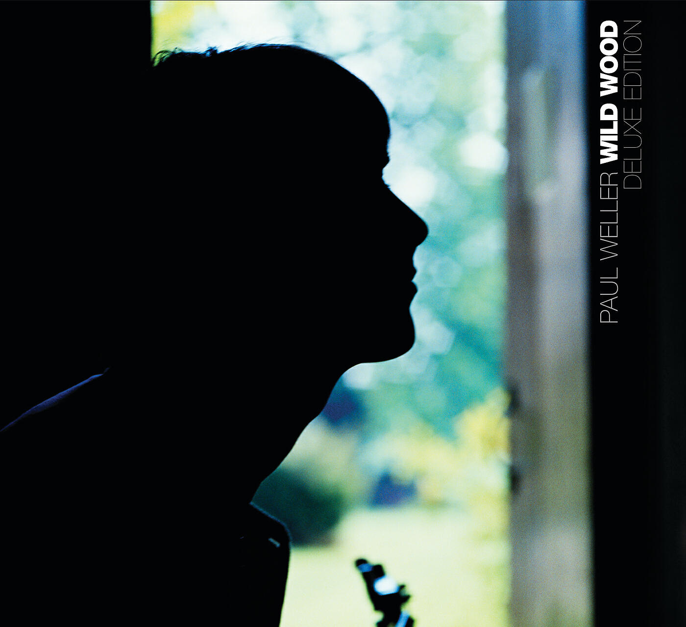 Paul Weller - All The Pictures On The Wall (Demo Version)