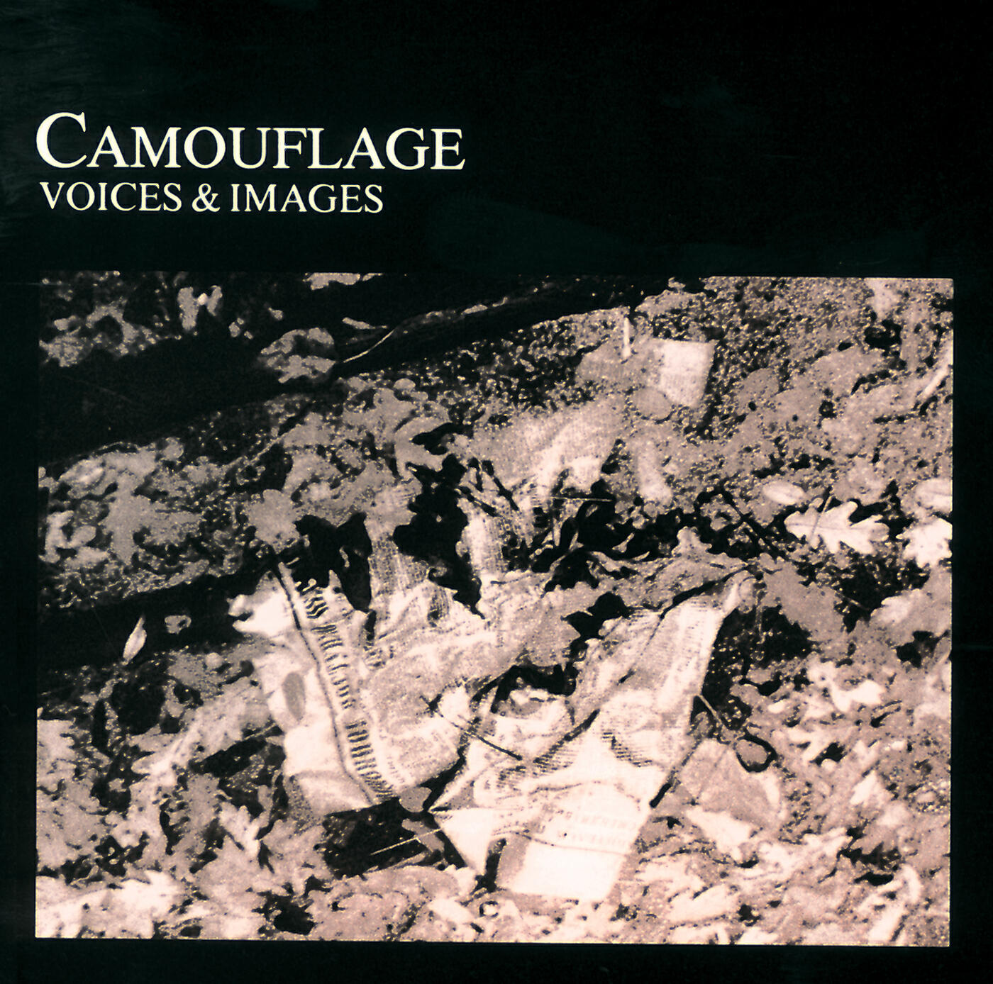 CAMOUFLAGE - Winner Takes Nothing