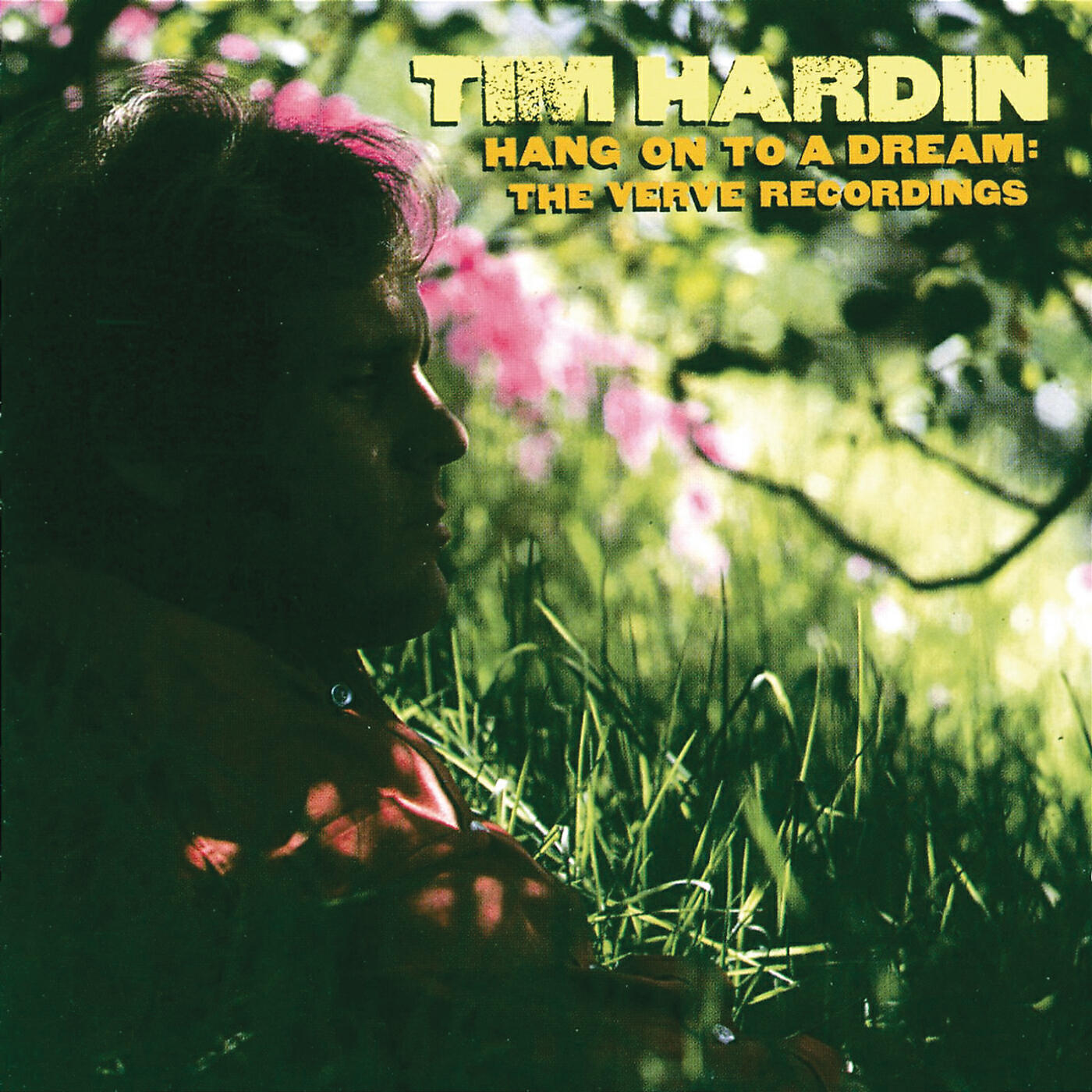 Tim Hardin - Green Rocky Road