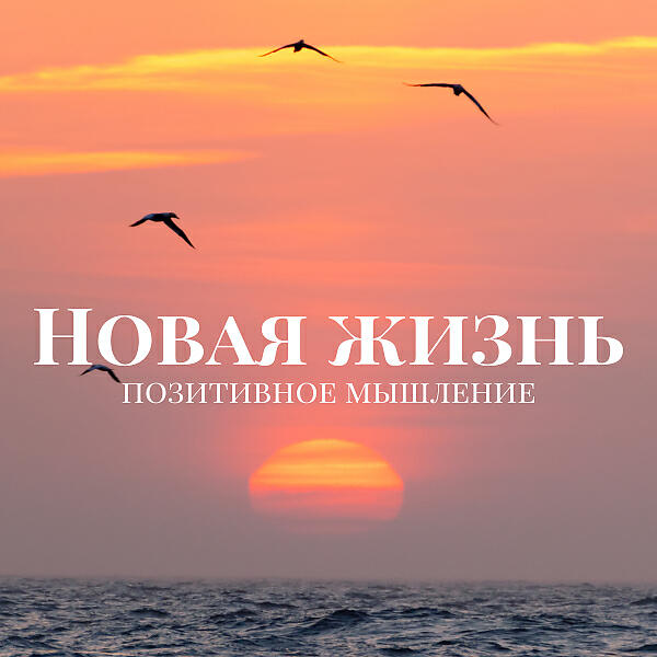 Благополучие Маэстро - Здоровье и благополучие