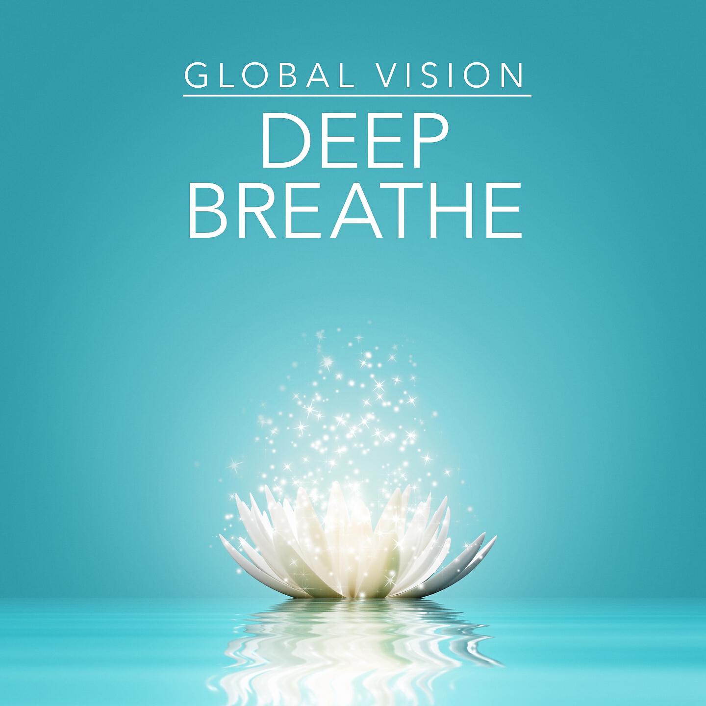 The Global Vision Project - Earthrise