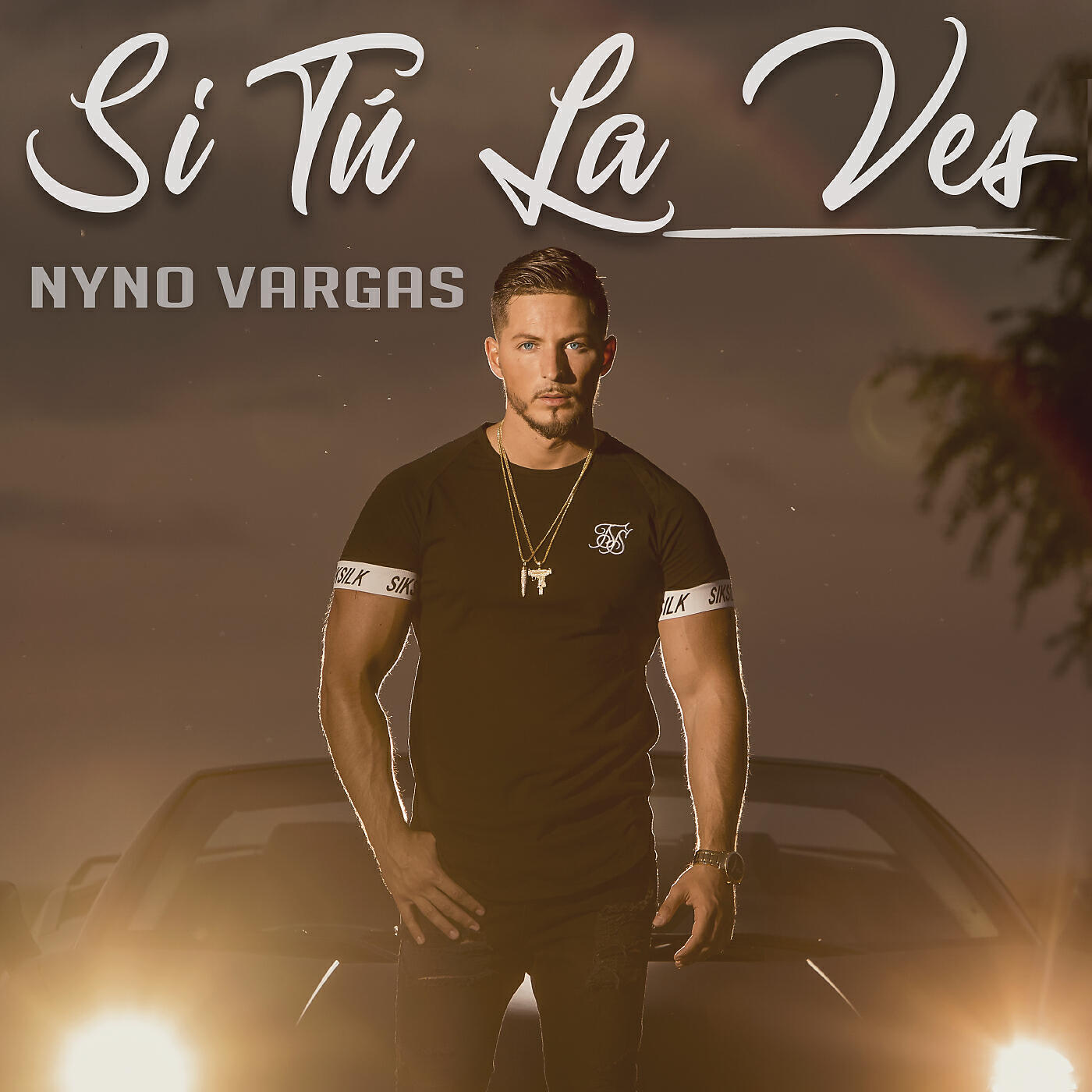 Nyno Vargas - Si tú la ves