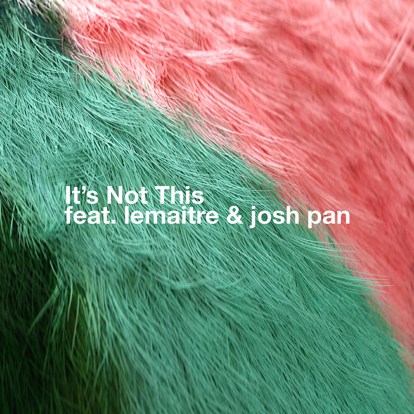 Bearson - It's Not This