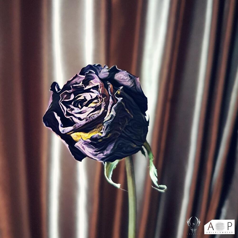 AdiL - Кайфа