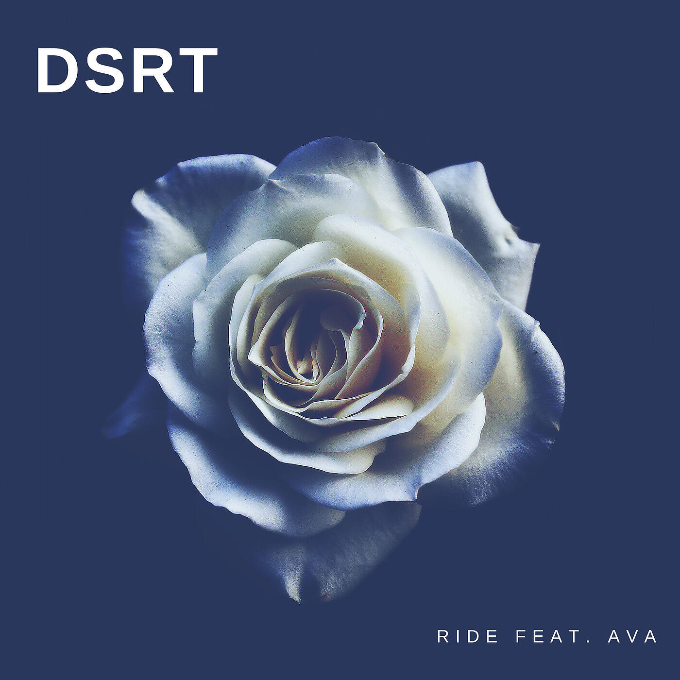 DSRT - Ride
