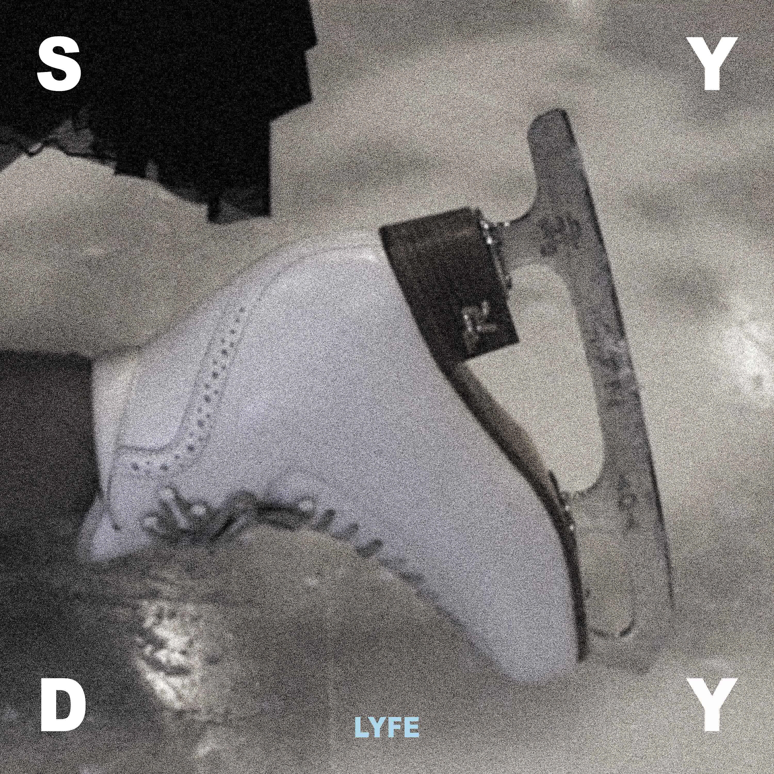 Shiny Darkly - Lyfe