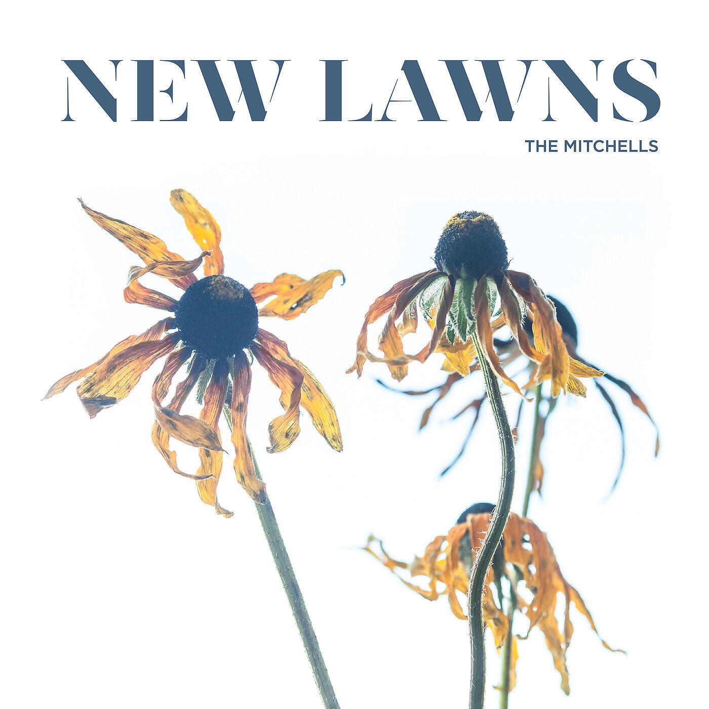 The Mitchells - Cangrejo