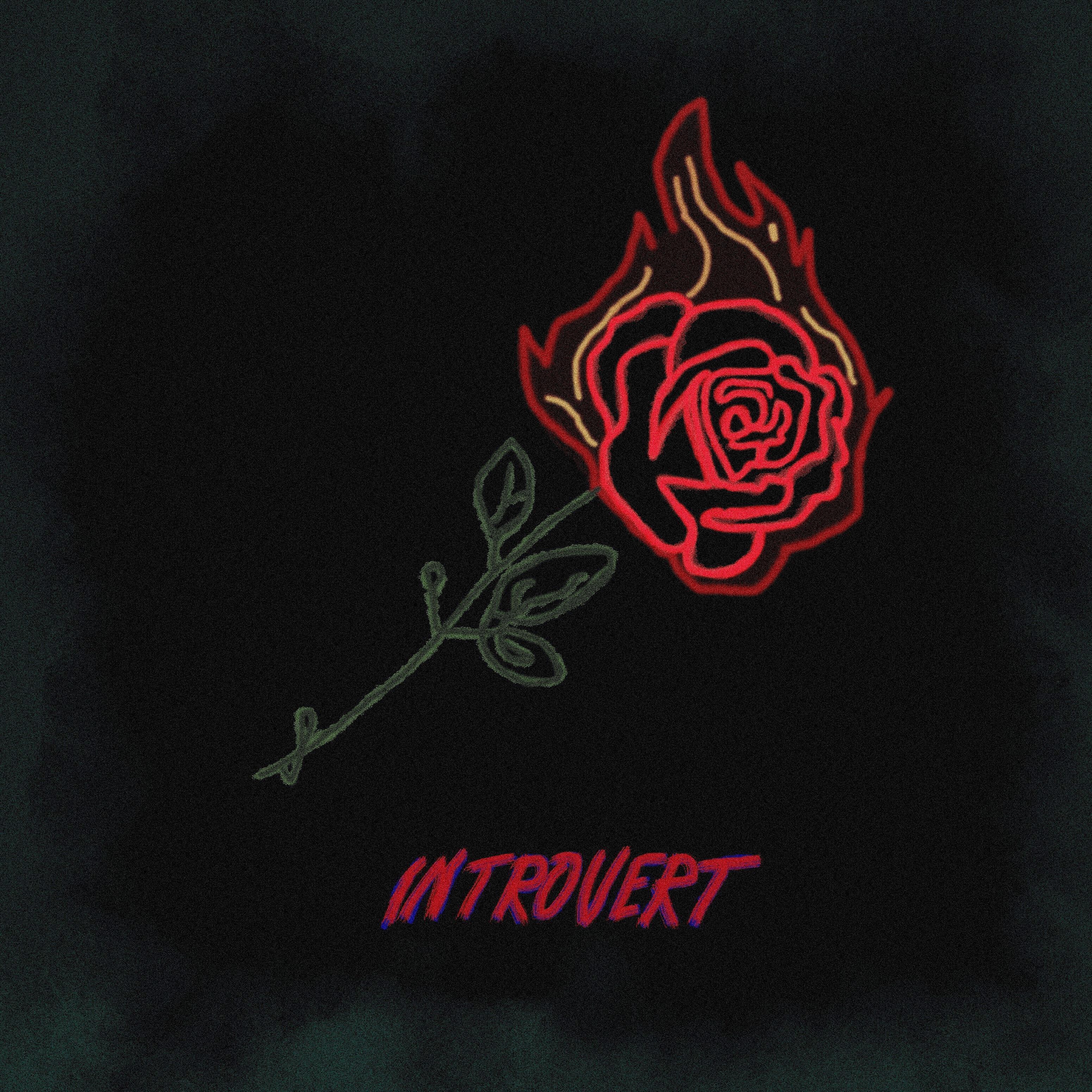 My Name Is X - Introvert