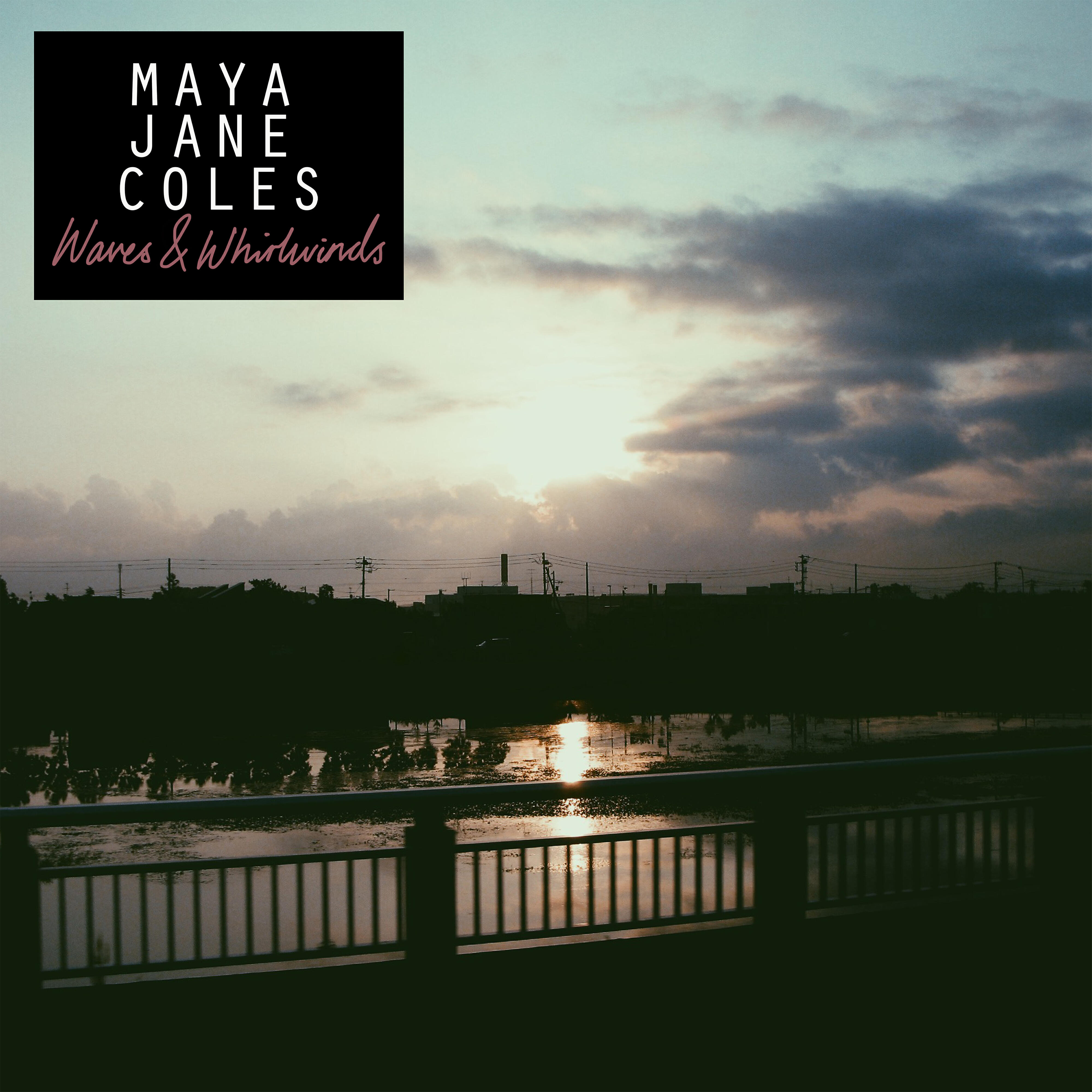Maya Jane Coles - Visionary