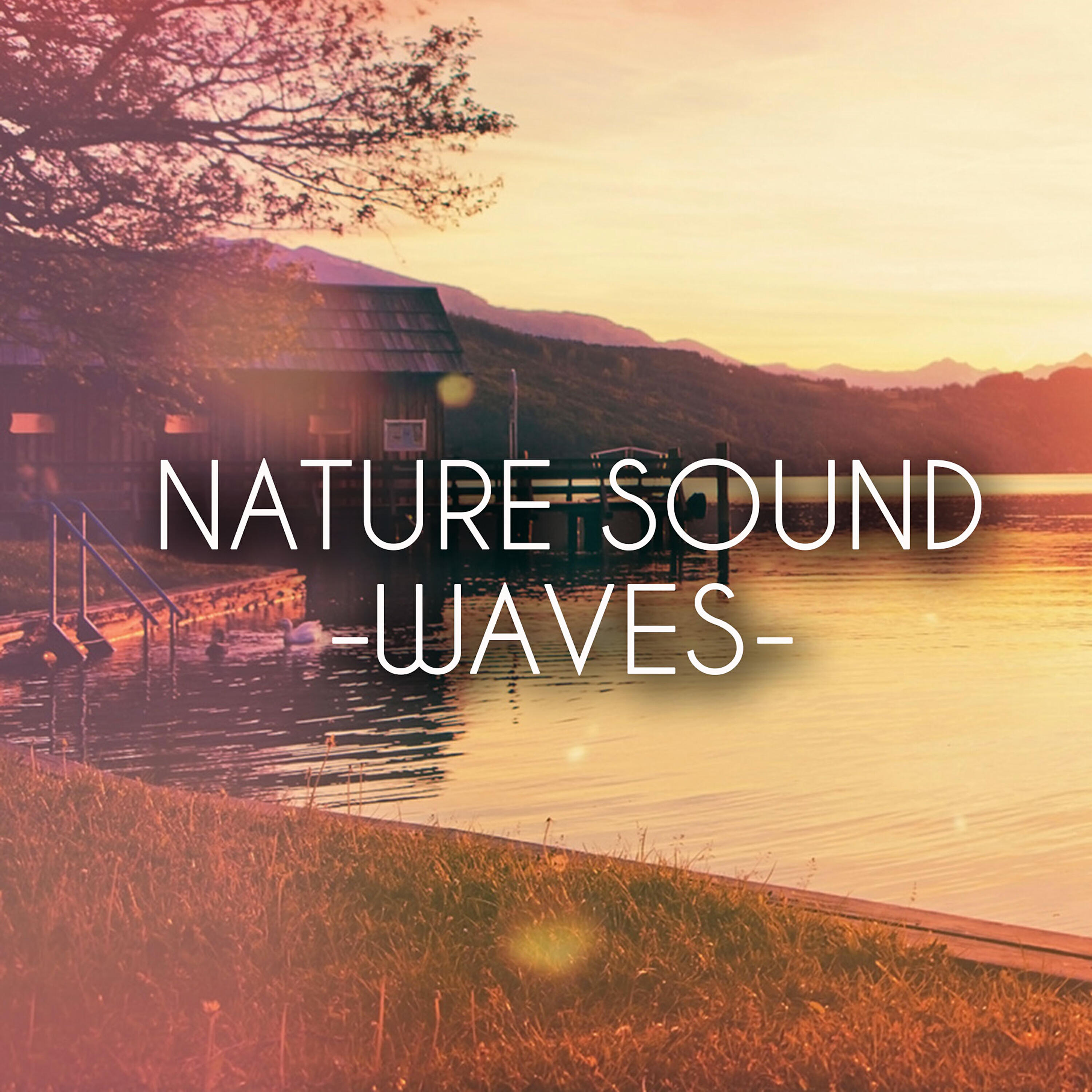 Sleep Sounds Of Nature - Sleep Sounds: Ocean Waves for Relaxation