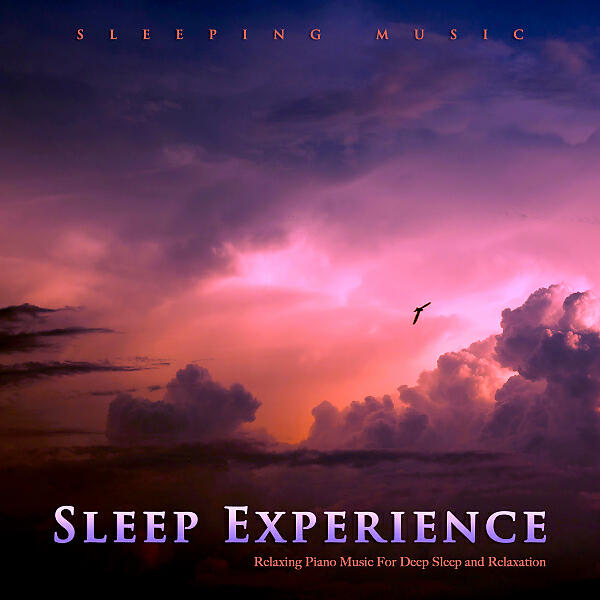 Sleep Music - Dream Runner