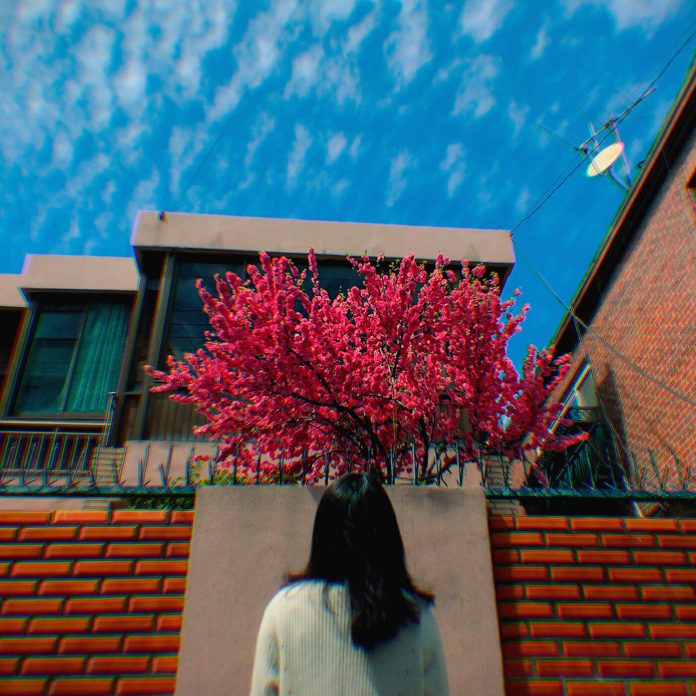 SORAE - Bye (with NIDA)