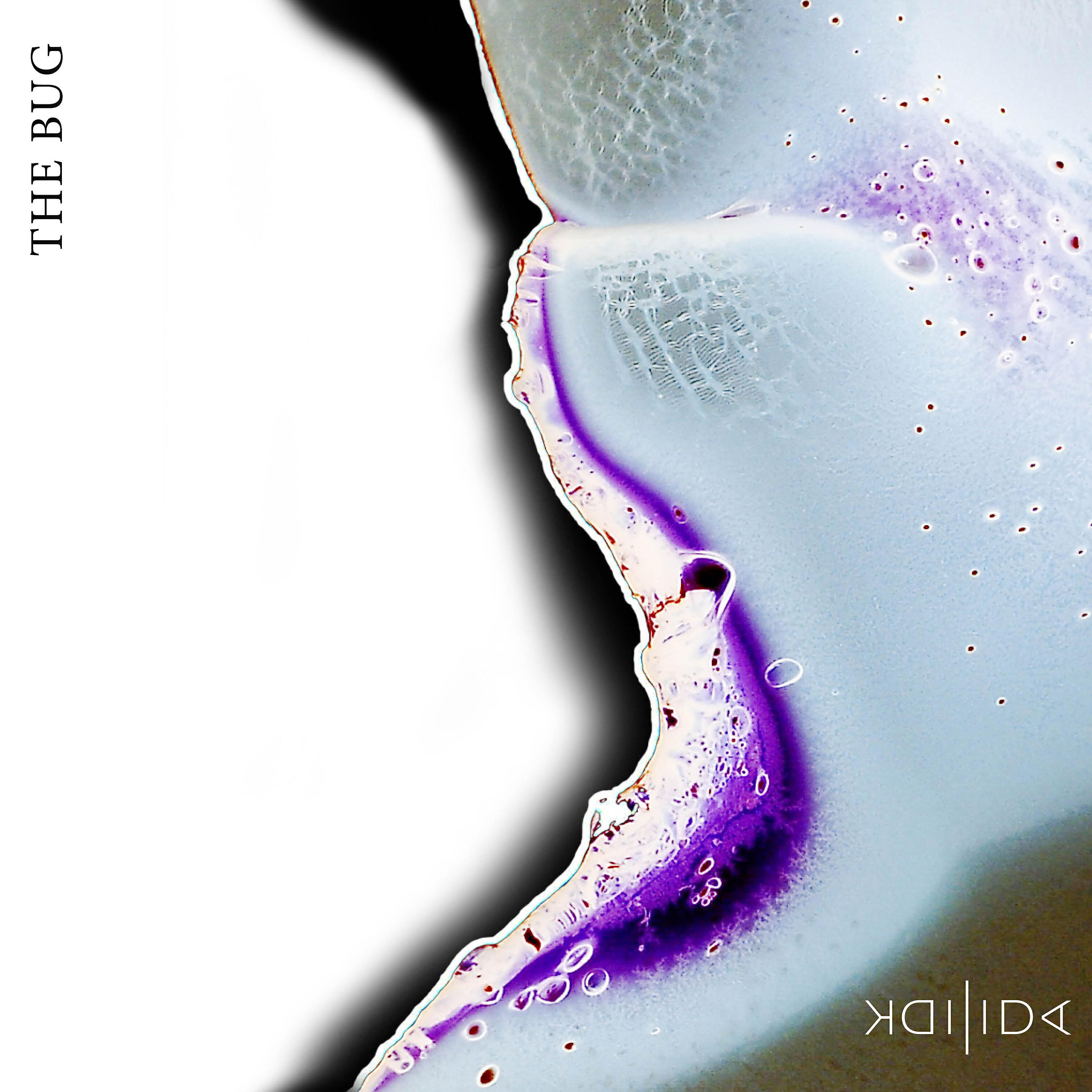 IDK IDA - Sea Creature