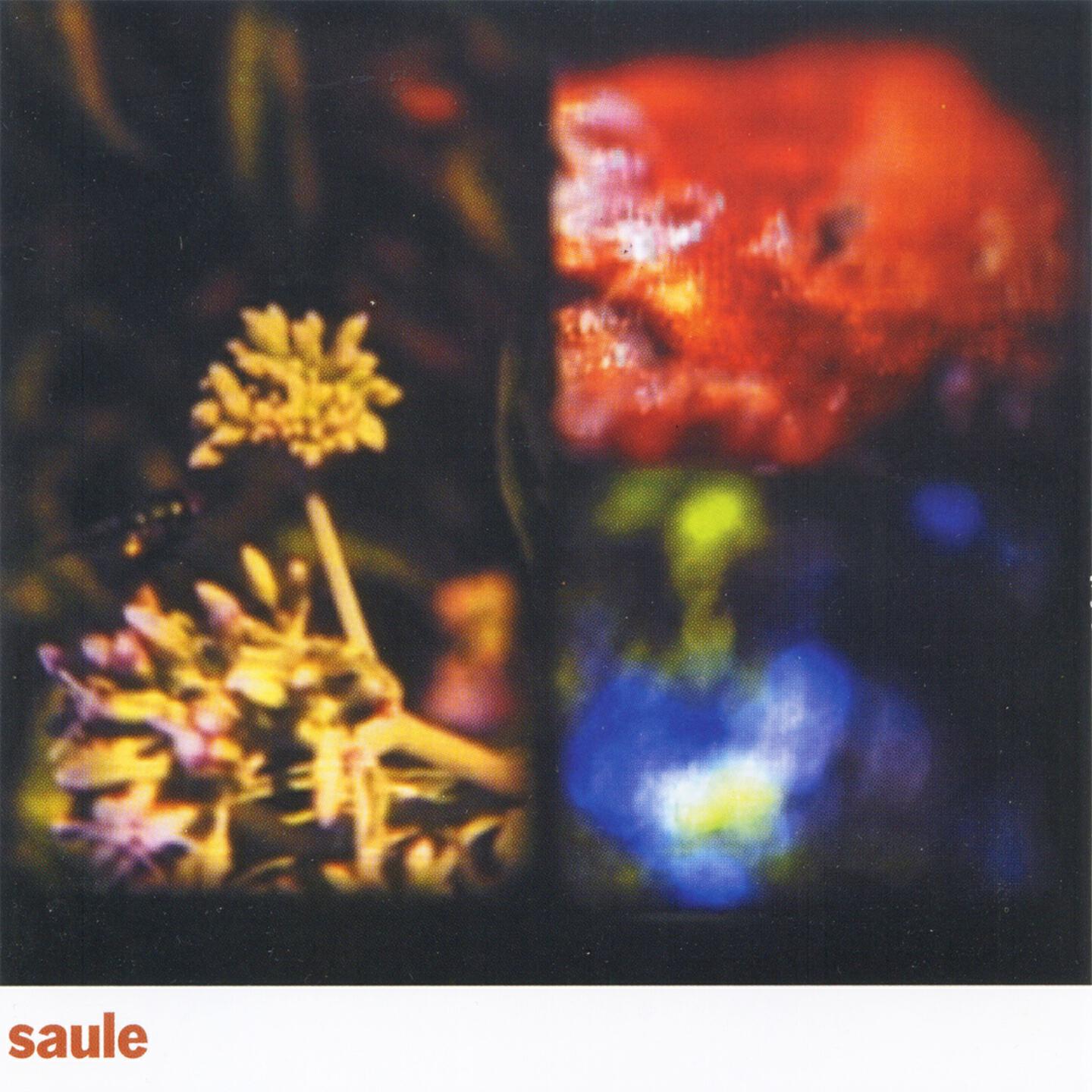 Saule - Lido