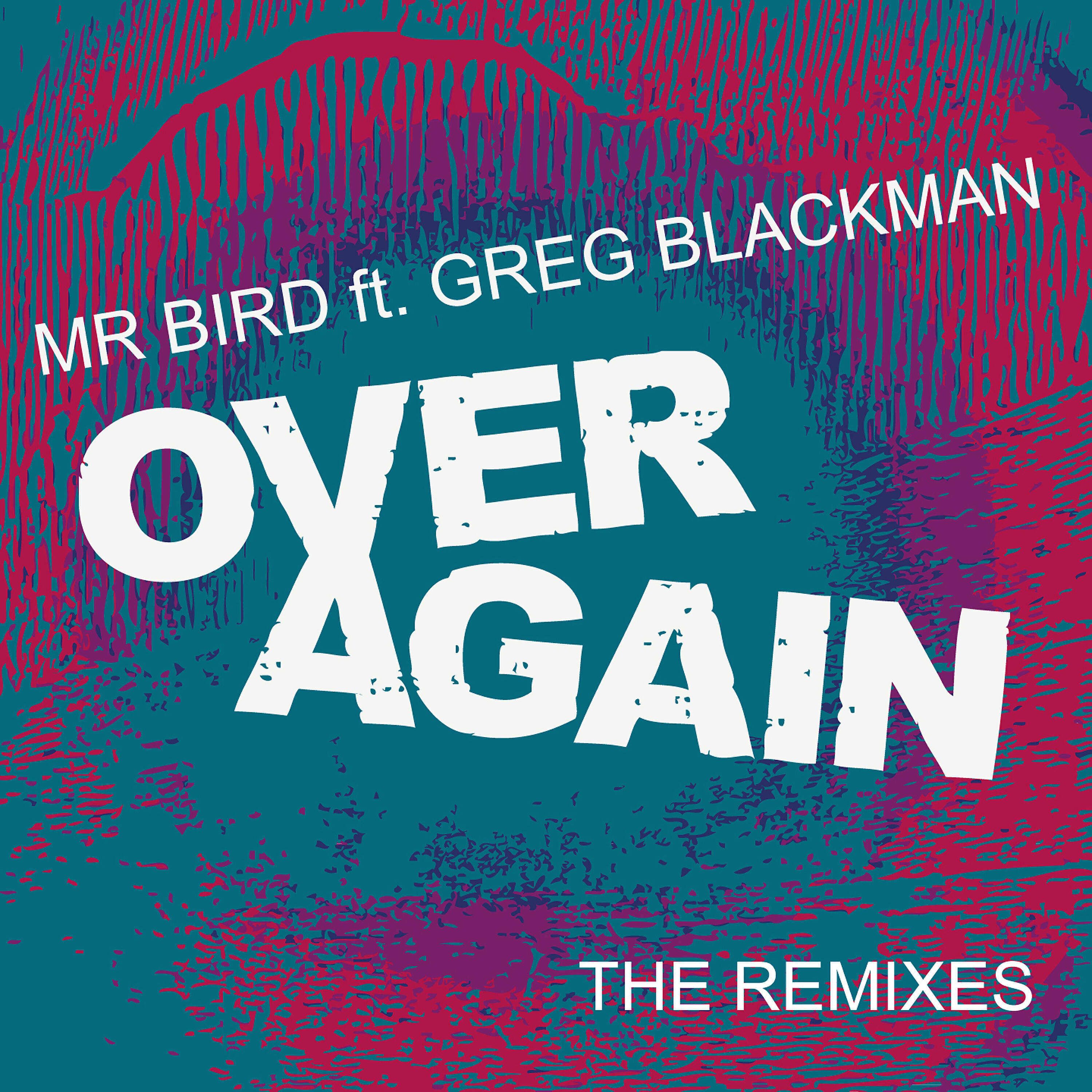 Mr Bird - Over Again (Ashley Beedle's North Street Mix)