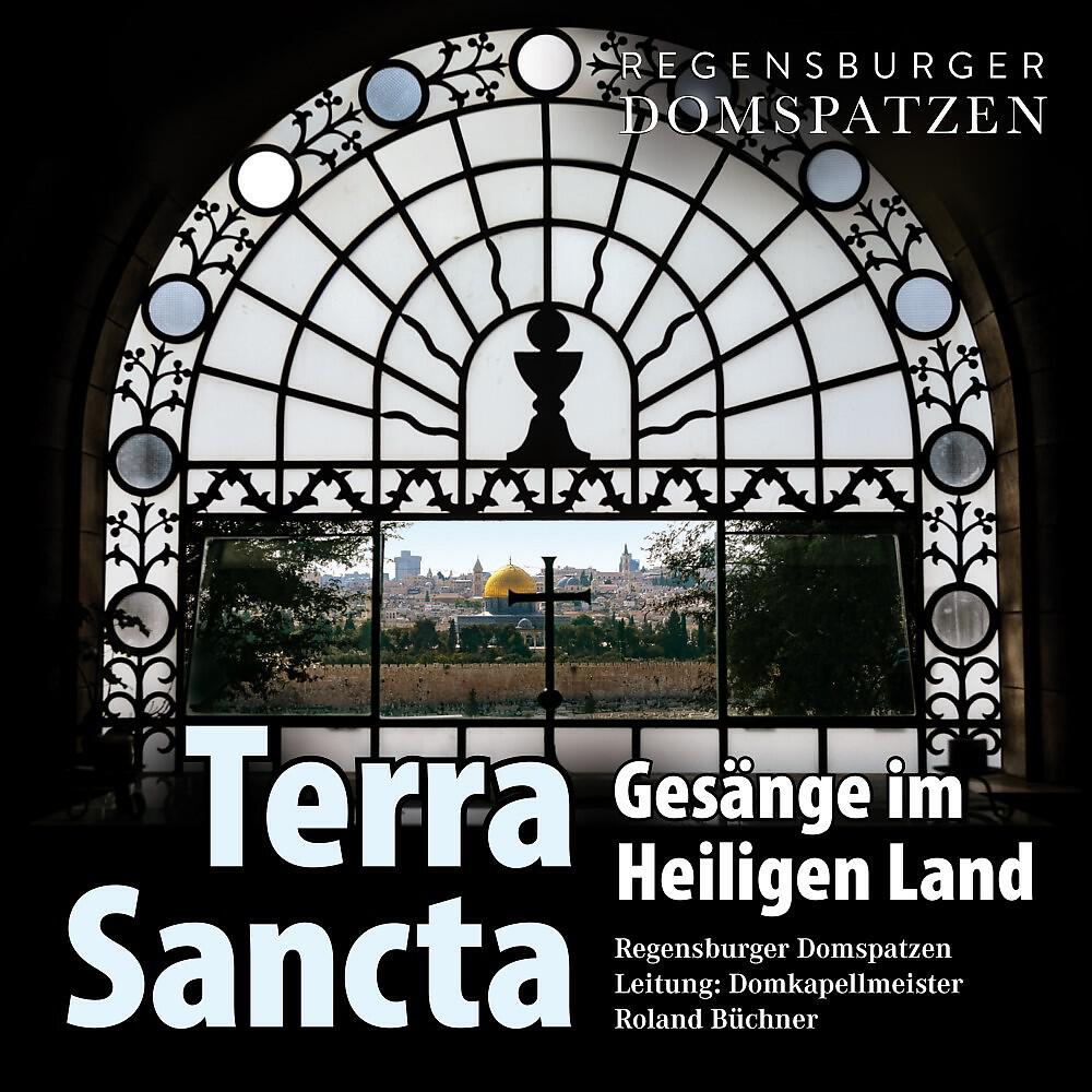 Regensburger Domspatzen - Ave maris stella