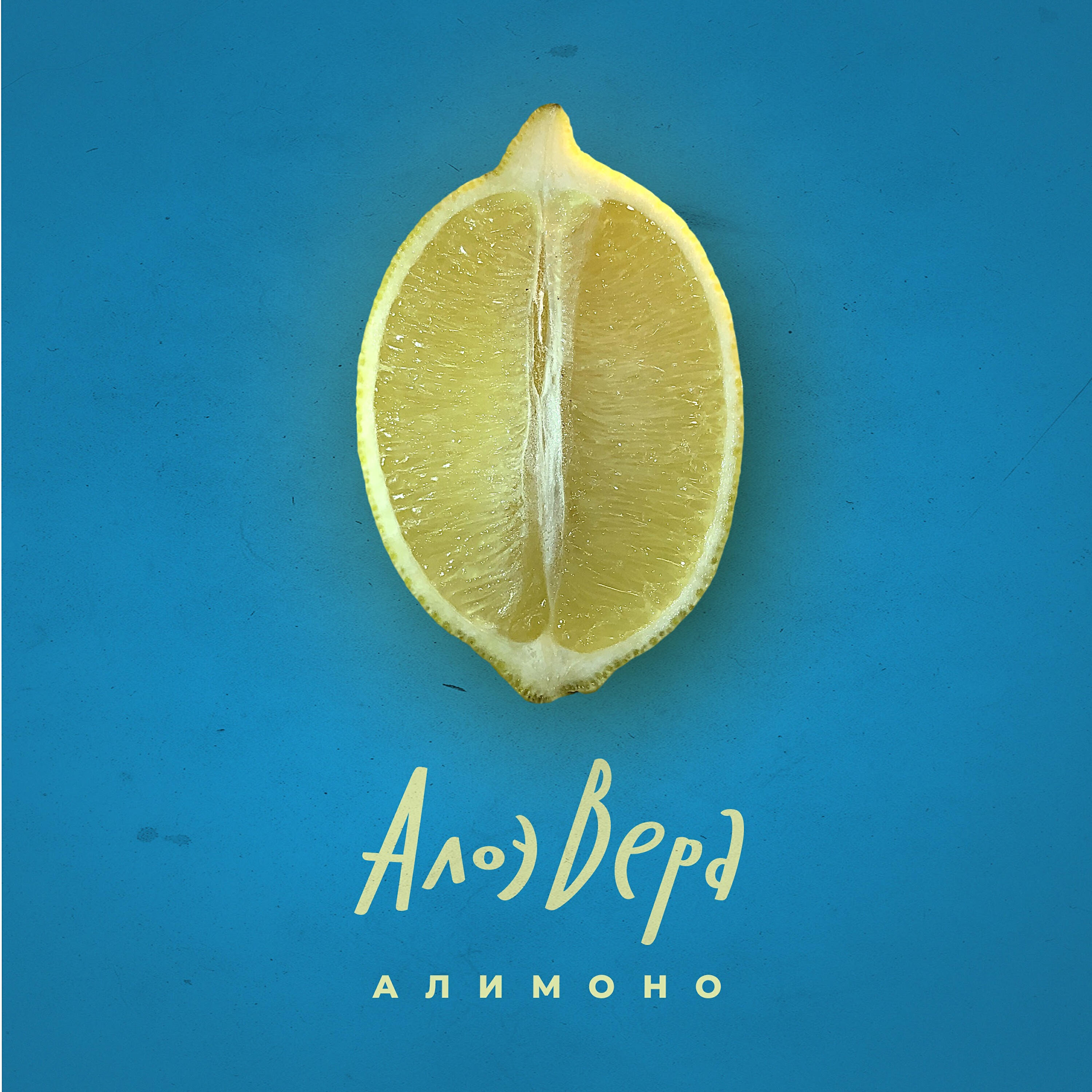 АлоэВера - Понимаешь, девочка