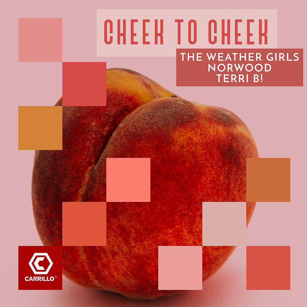 The Weather Girls - Cheek to Cheek (Discolovers Club Mix)